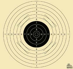 Scheibe mit Einsteckschlitz für Pistole 25/20 m, Gewehr 100 m & Vorderlader